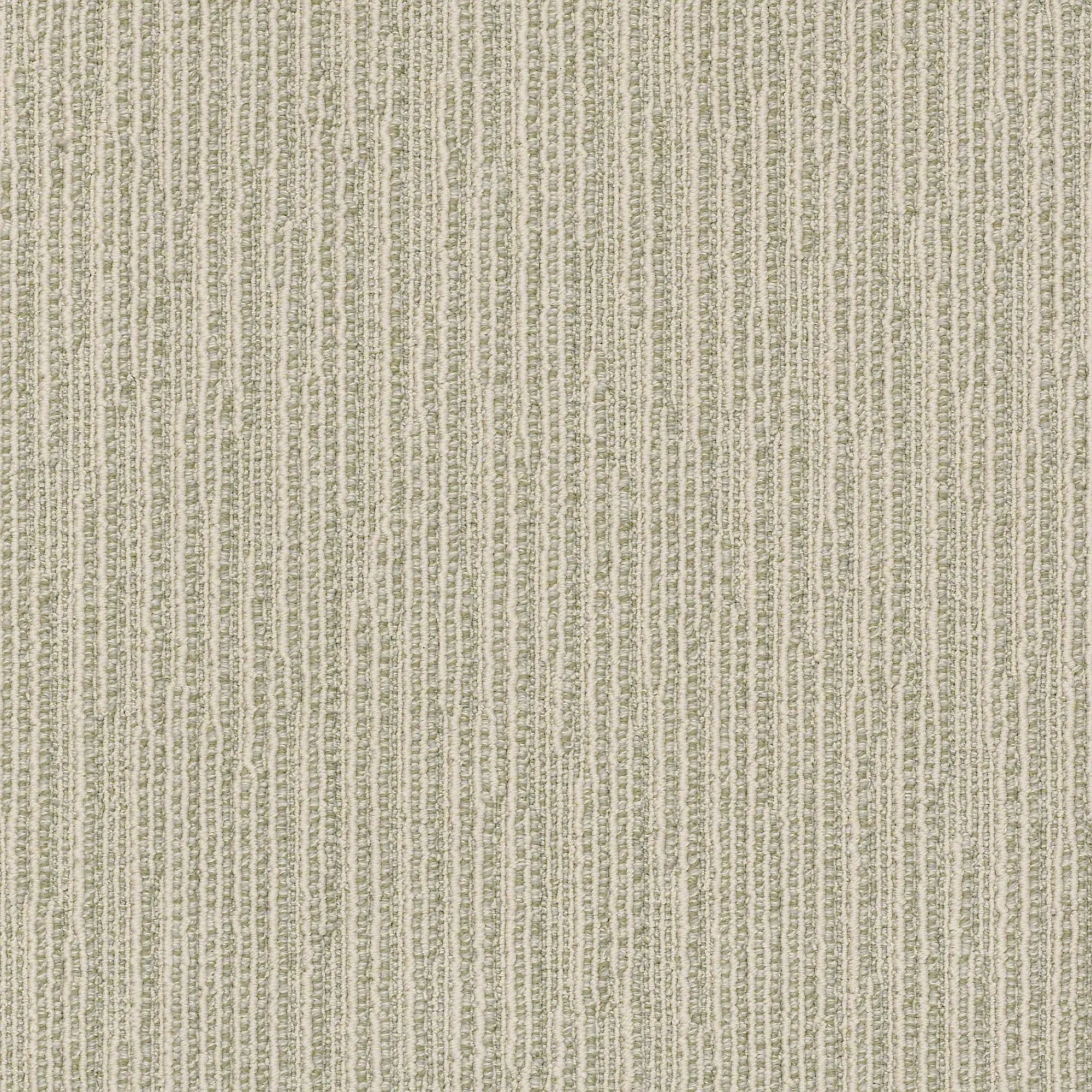 DSW.CHASE Tuftex Chase Carpet-1