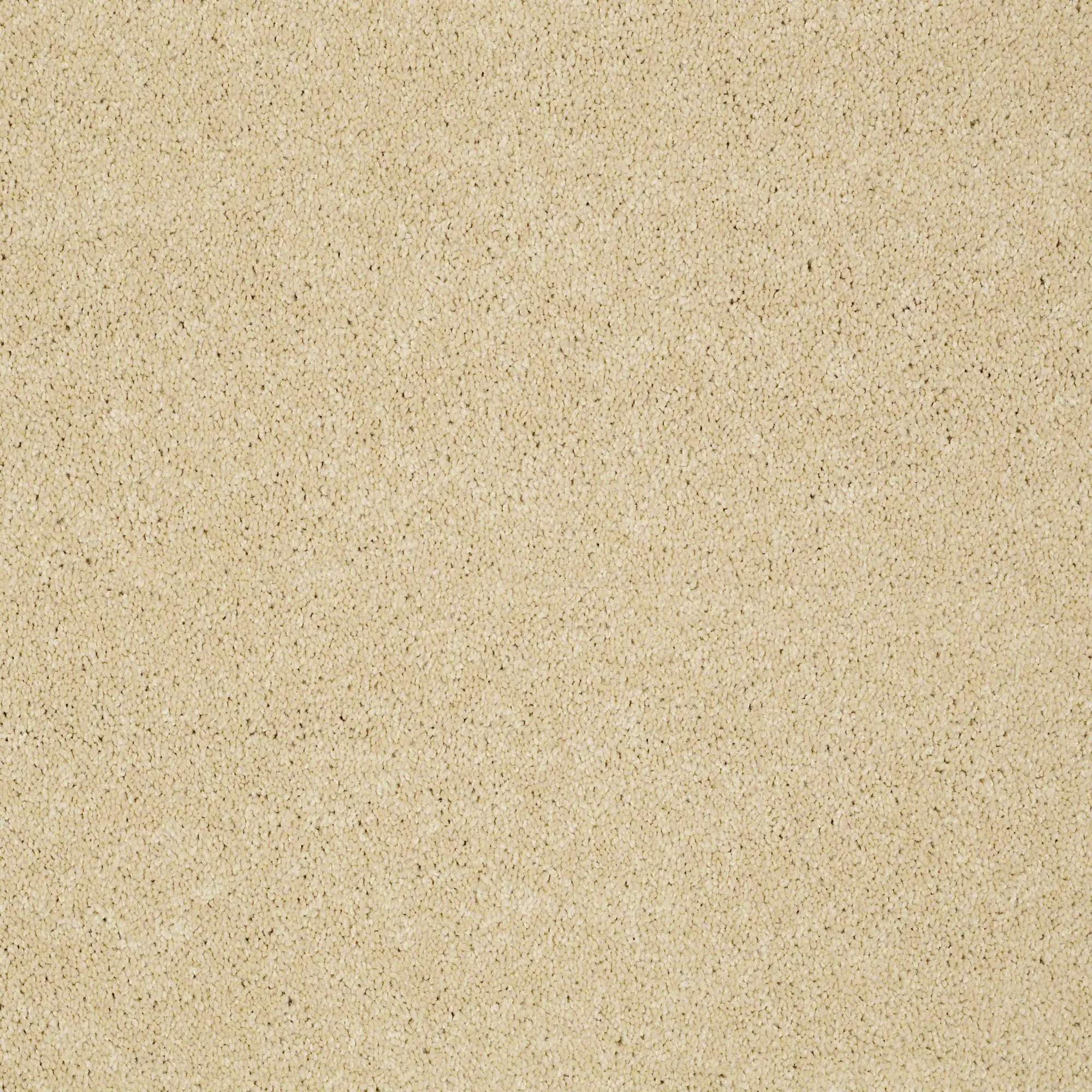 DSW.PAWPARAZZI.I Tuftex Pawparazzi I-1