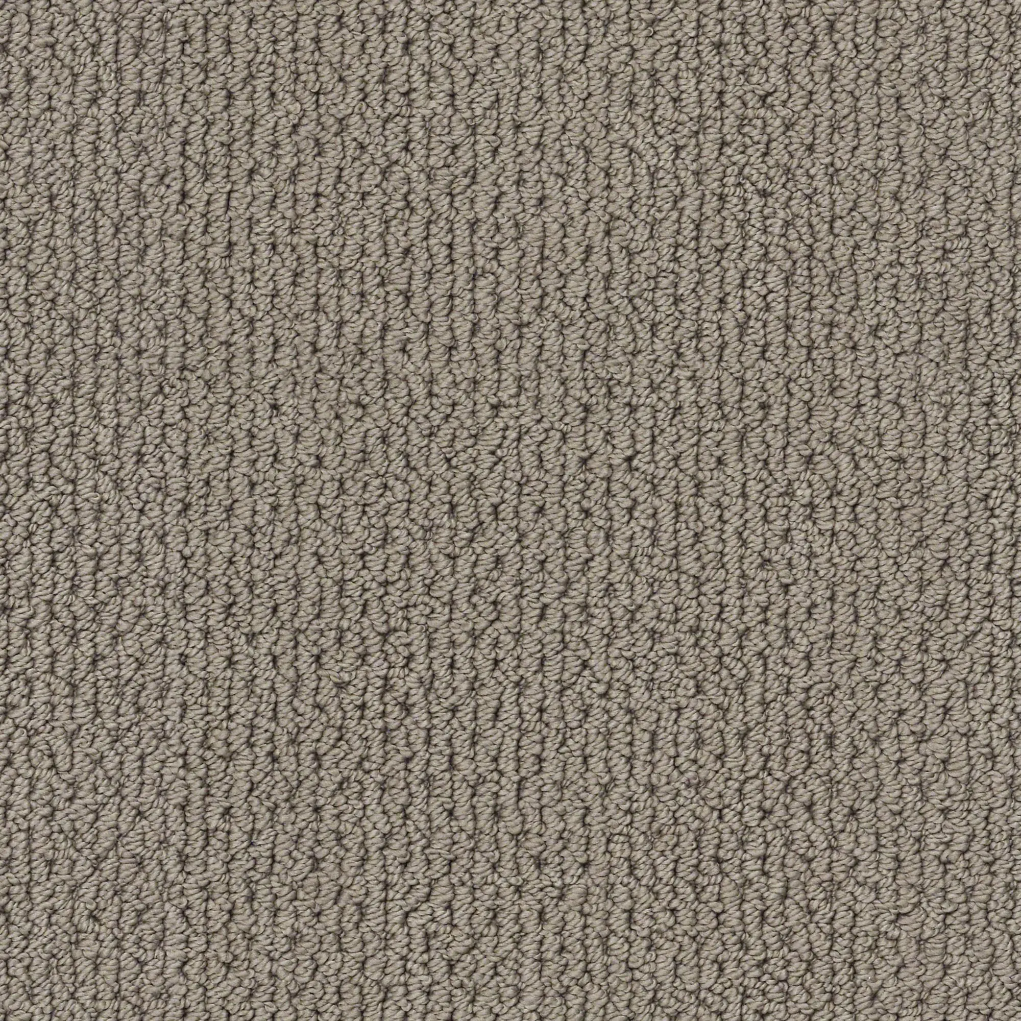 DSW.MERA Tuftex Mera Carpet-1