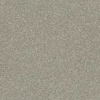 QUE.RULE.BREAKER Shaw Rule Breaker Carpet