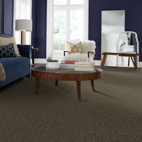 QUE.TOP.PICK.MD Shaw Top Pick Carpet-2