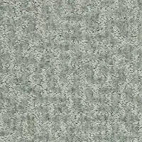 QUE.STAR.GAZER Shaw Star Gazer Carpet