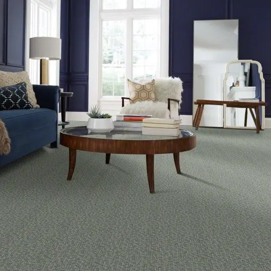 QUE.STAR.GAZER Shaw Star Gazer Carpet-2