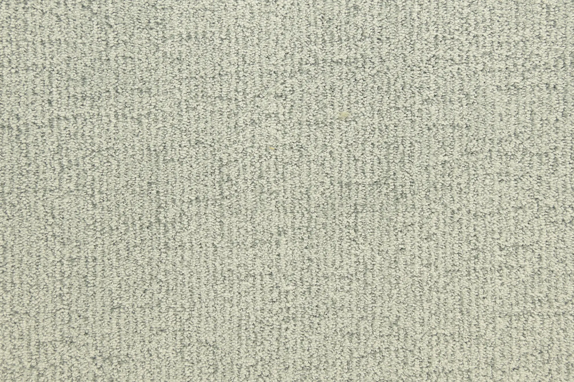 BRE.HORIZON.HILLS Dixie Home Horizon Hills Carpet-1