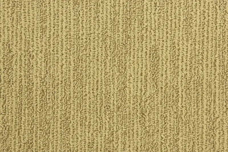 Dixie Home Bravery Carpet