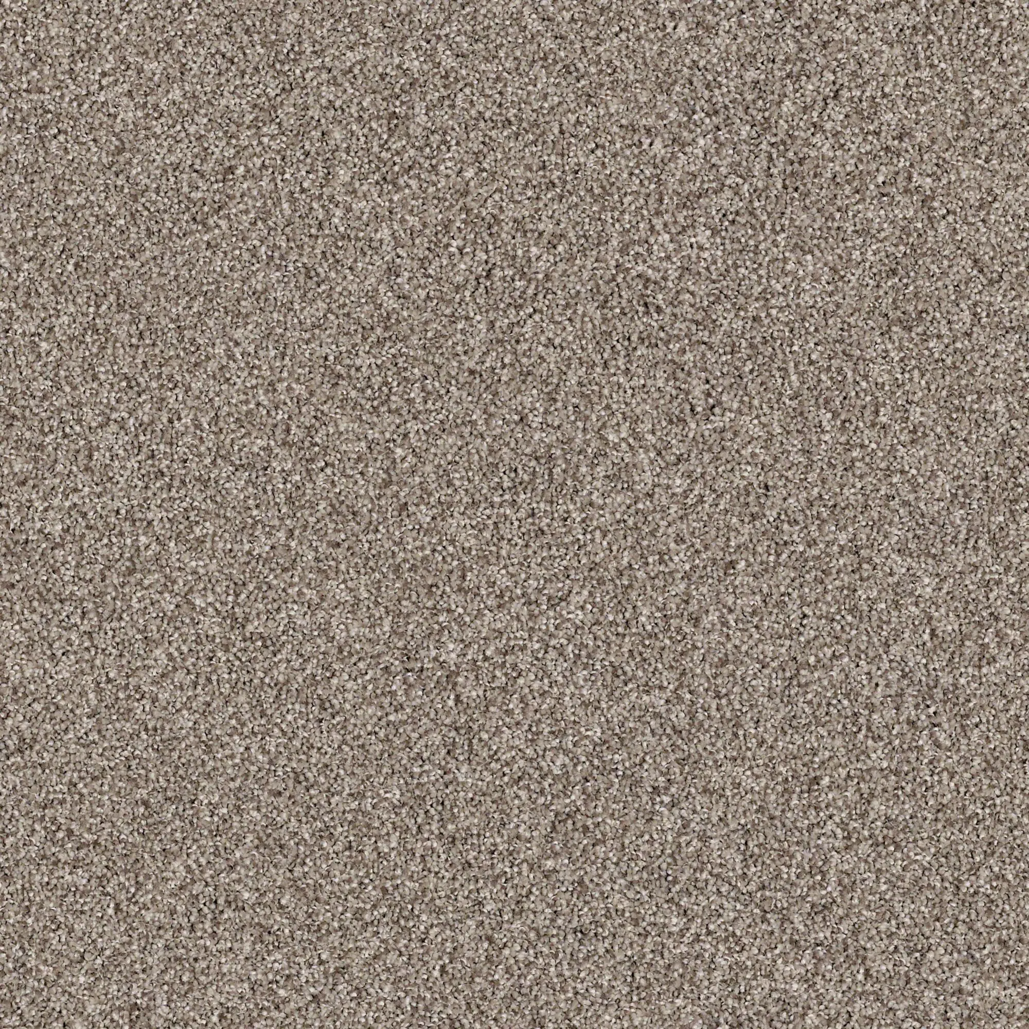 PHL.COLOR.EXPRESS.TONAL.I Shaw Color Express Tonal I Carpet-1
