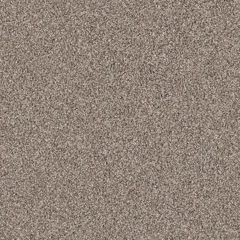 Shaw Color Express Tonal I Carpet