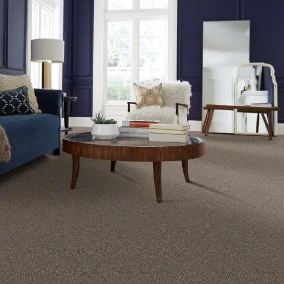 PHL.COLOR.EXPRESS.TONAL.I Shaw Color Express Tonal I Carpet-2