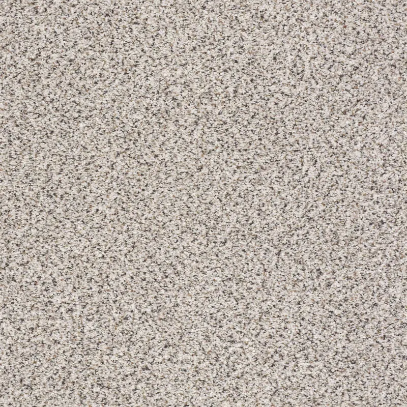 Shaw Color Express Accent I Carpet