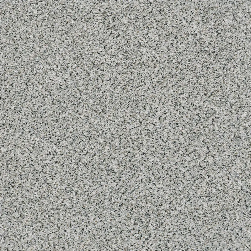 Shaw Color Express Accent II Carpet