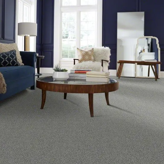 PHL.COLOR.EXPRESS.ACCENT.II Shaw Color Express Accent II Carpet-2