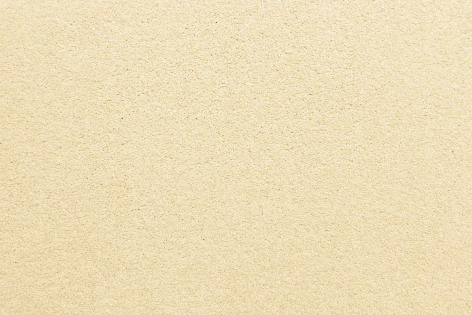 BRE.FULL.CAPACITY Dixie Home Full Capacity Carpet-1