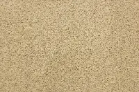 BRE.PURE.GRACE Dixie Home Pure Grace Carpet