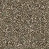 Mohawk West Ridge II Carpet