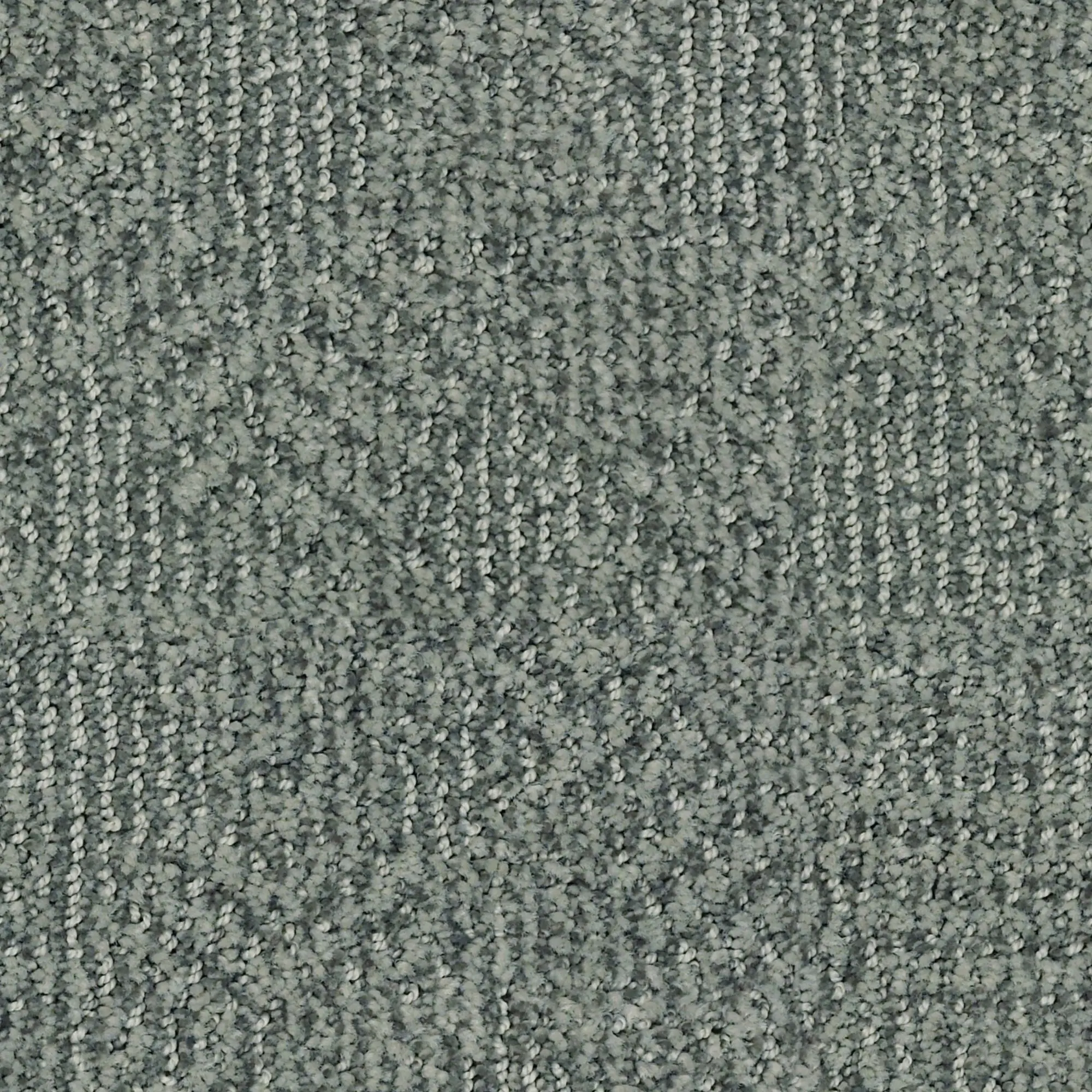 DSW.LUNA Tuftex Luna Carpet-1