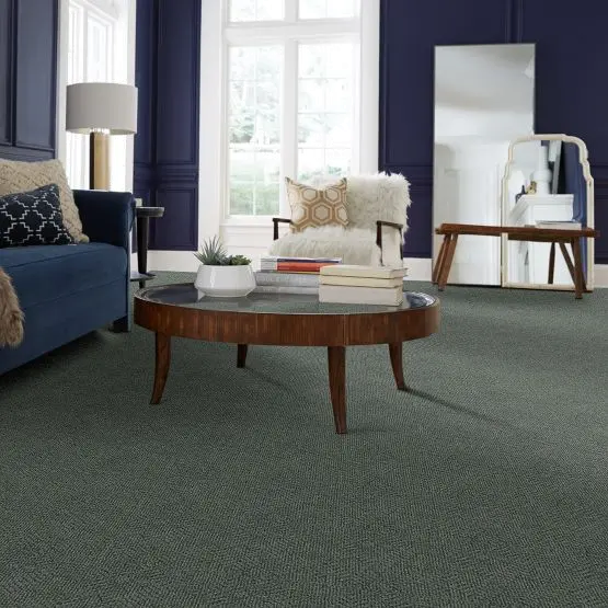 DSW.LUNA Tuftex Luna Carpet-2