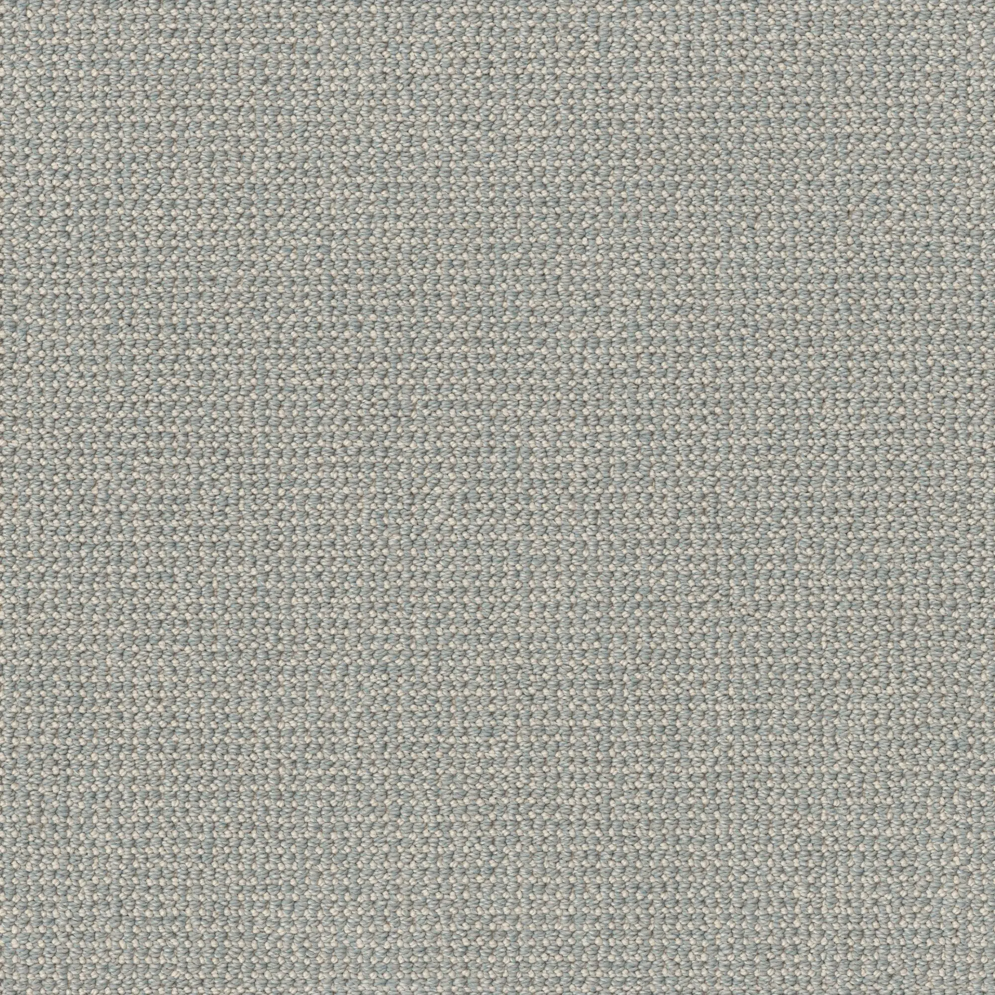 DSW.PURRFECTION Tuftex Purrfection Carpet-1
