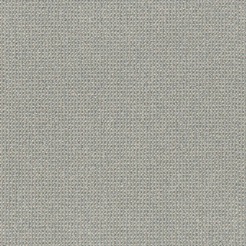 Tuftex Purrfection Carpet