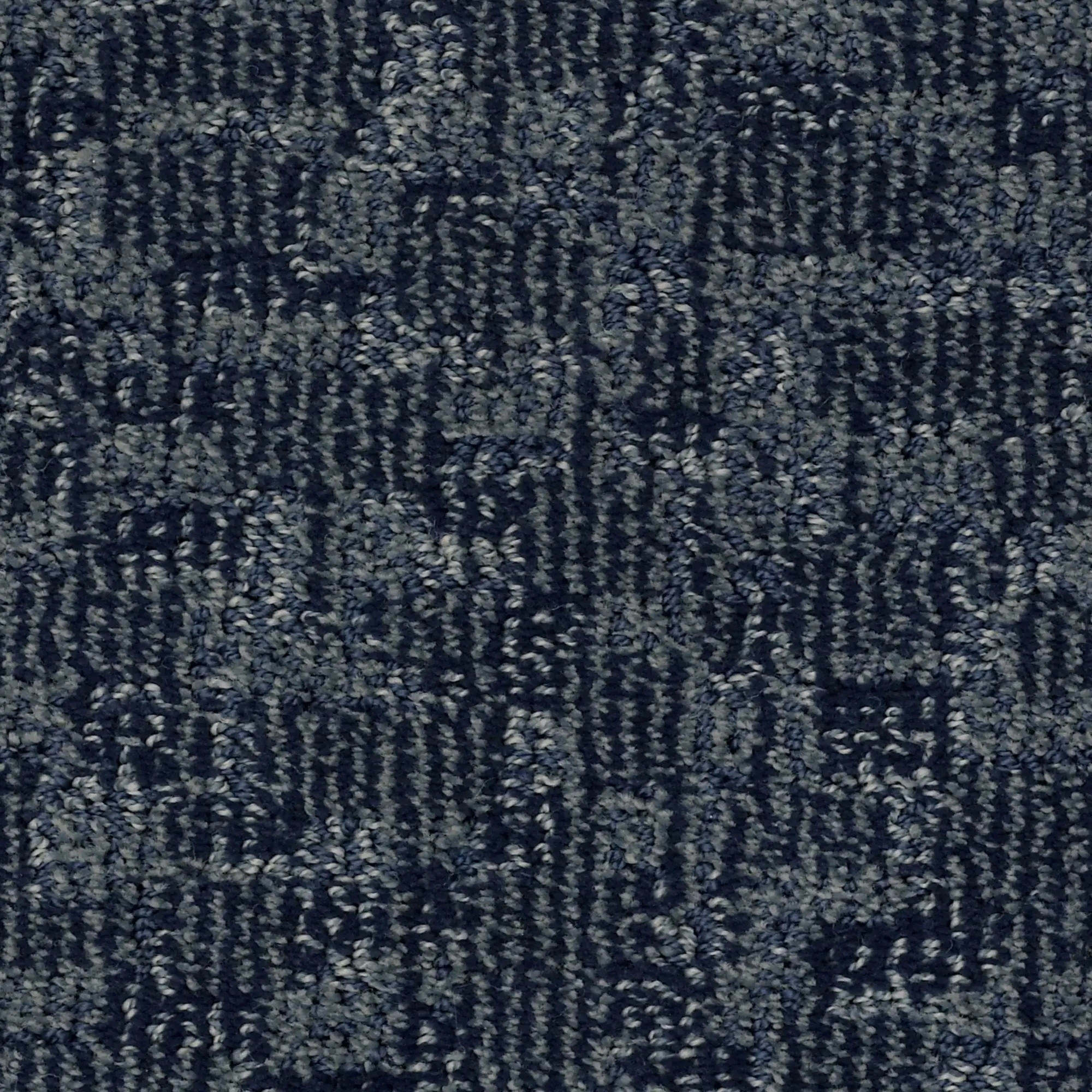 DSW.PAW-TAY Tuftex Paw-Tay Carpet-1