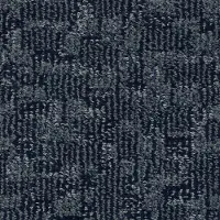 DSW.PAW-TAY Tuftex Paw-Tay Carpet