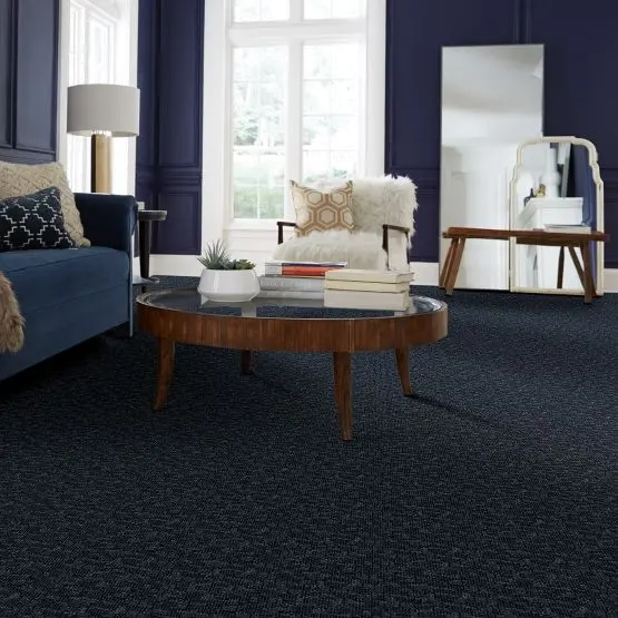 DSW.PAW-TAY Tuftex Paw-Tay Carpet-2