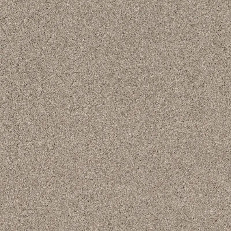 Shaw Cozy Mist I Carpet