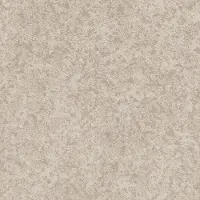 PHL.WELL.MINDED Shaw Well Minded Carpet