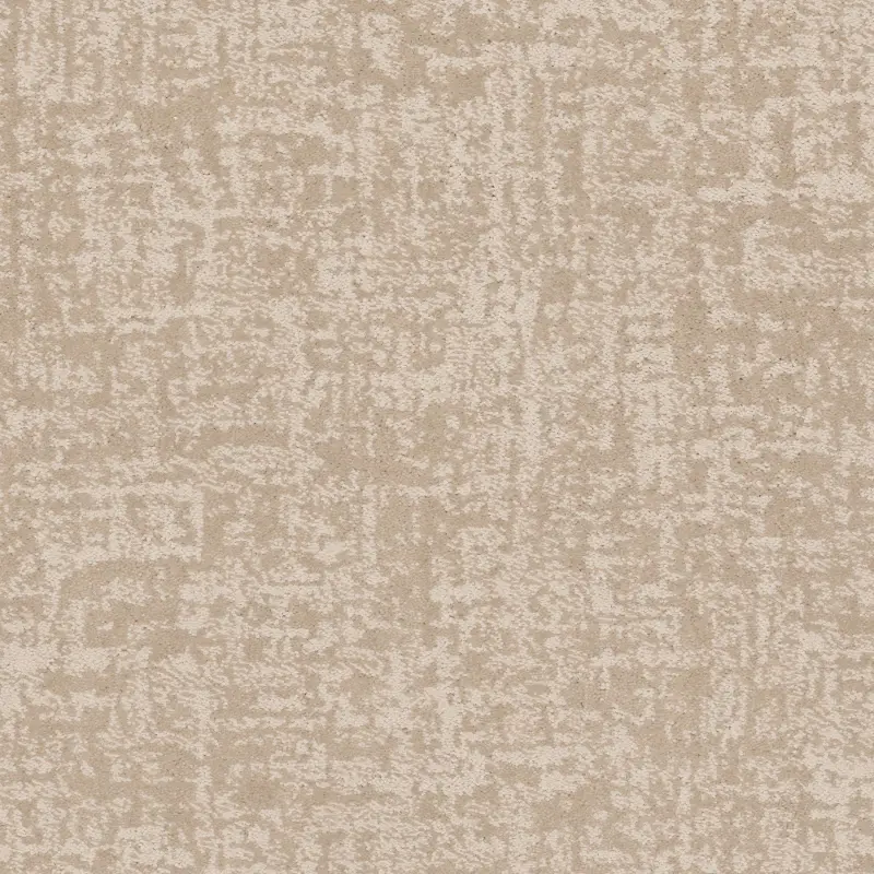 Shaw Star Gaze Carpet