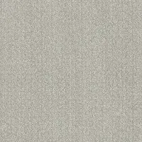 QUE.PASSING.BY Shaw Passing By Carpet