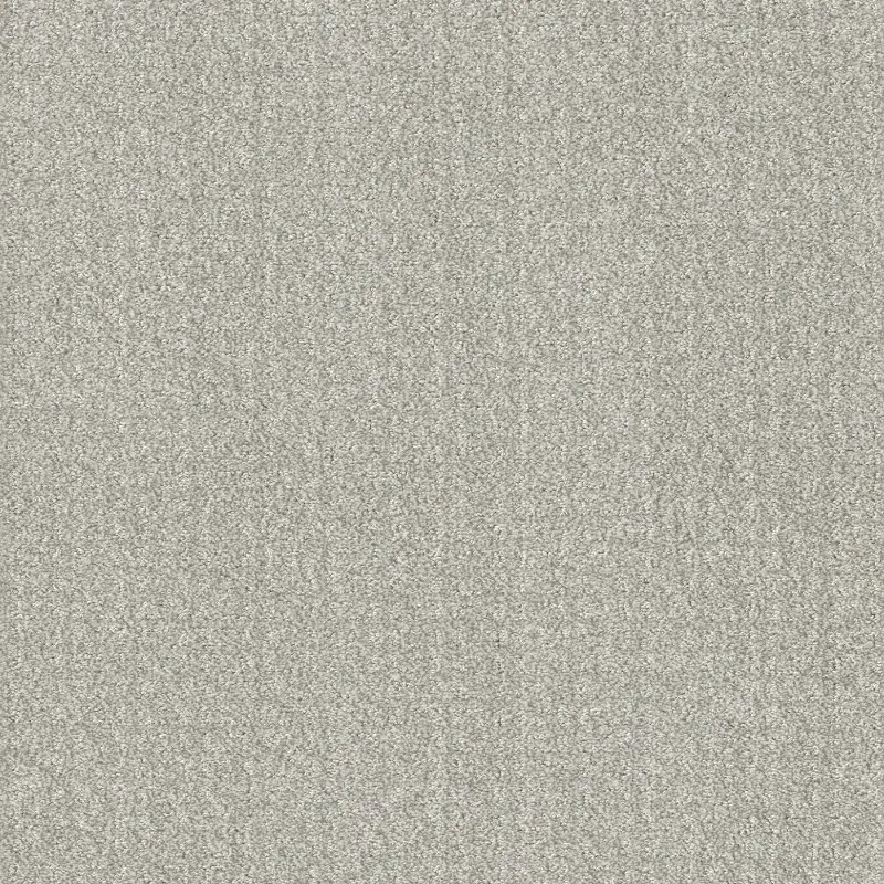 Shaw Passing By Carpet