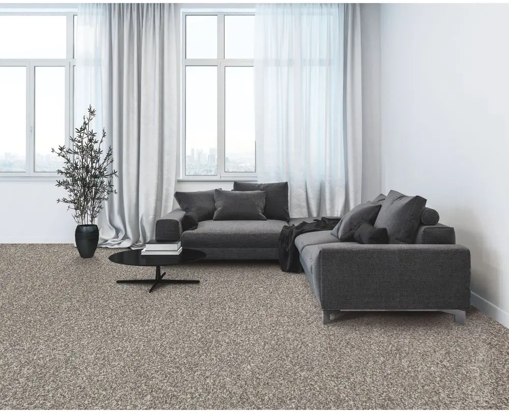 MHK.NATURES.ALLURE.I Mohawk Natures Allure I Carpet-2