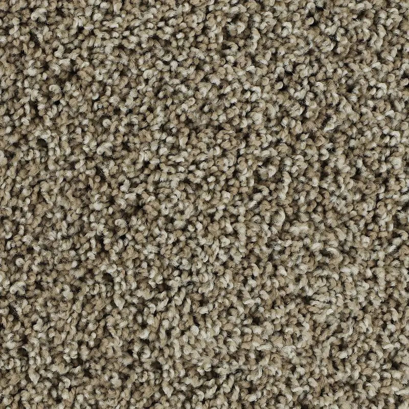 Karastan Stylish Estate Carpet