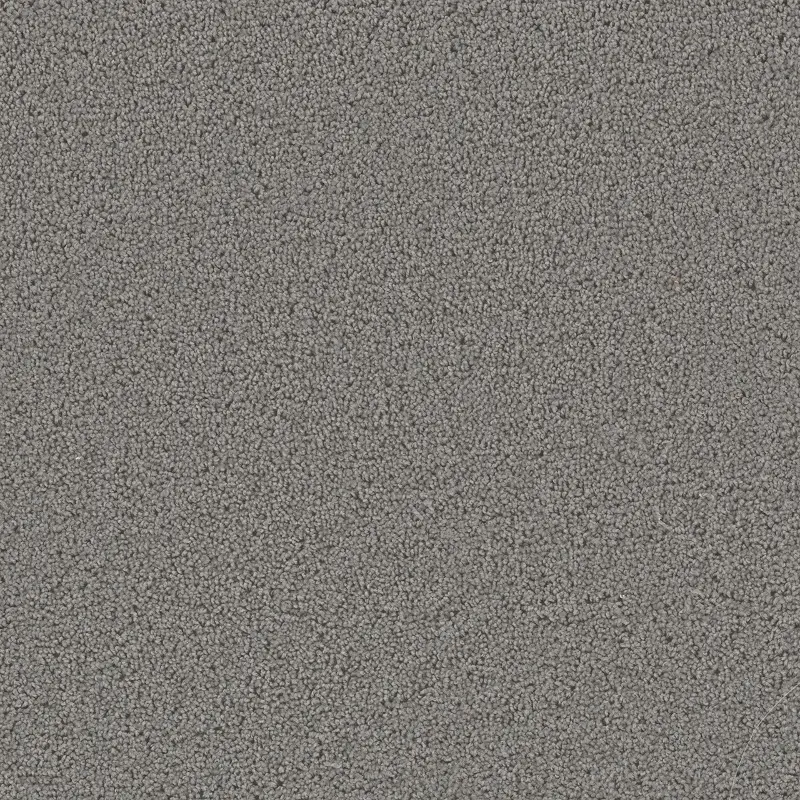 Dream Weaver First Step Carpet