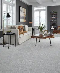 MSL.JAEGER.STOCK Masland Jaeger Carpet